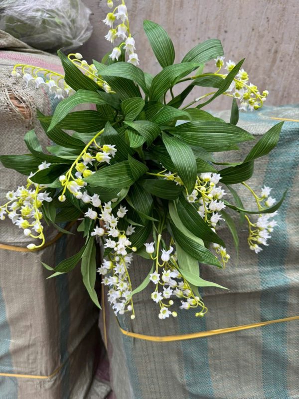 linh lang xin hàng nhập