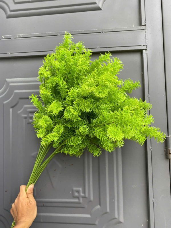 Rong tròn các loại - Ảnh 3