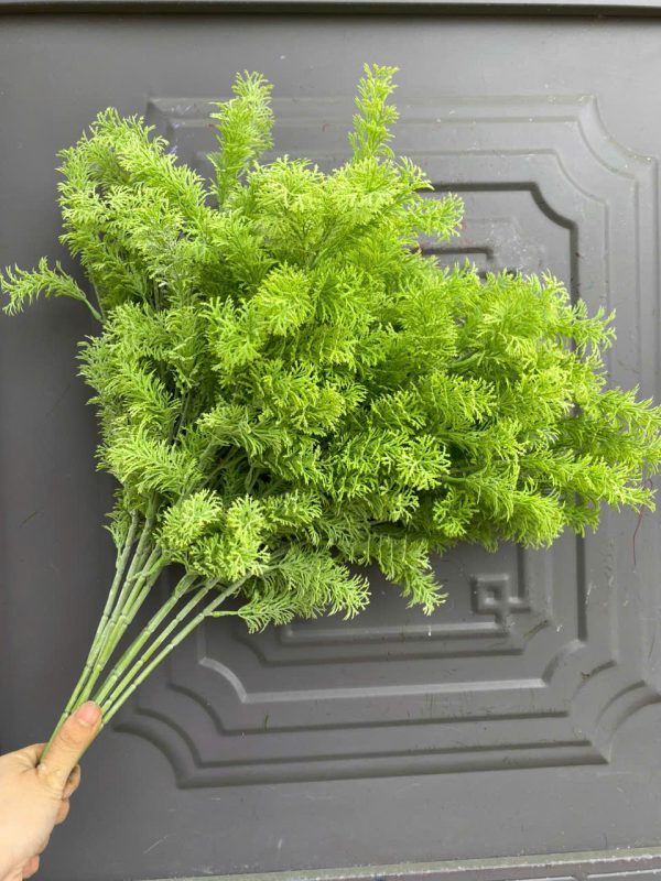 Rong tròn các loại - Ảnh 6